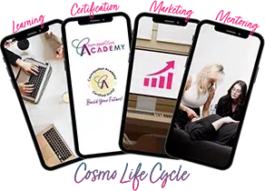 Cosmopolitan Academy Life Cycle